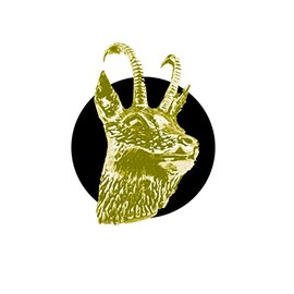 A50 Chamois Gams CHROME GOLD COLOURED English Pewter on an Air Freshener fits on a Vent Clip Kit Decoration