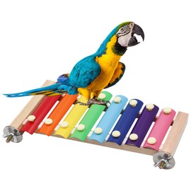 Dnoifne Colorful Bird Xylophone Toy, Suspensible Funny Xylophone Toy with 8 Metal Keys, Bird Cage Toy Accessories for Chicken Bird Parrot Parrot Parakeet Budgies Love Birds