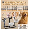 Elevated Dog Bowls Stand Large Breed Metal Raised Dog Bowls