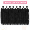 Fulcrum Passion Twist Hair 14 Inch, 8 Packs Passion Twist