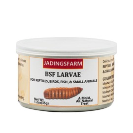 JADINGSFARM 6 Pack Canned Black Soldier Fly Larvae for Reptiles, Fish, Birds and Small Animals, BSF, Healthy High Protein Treat, Reptile Bird Fish Food 1.2 Ounces Each