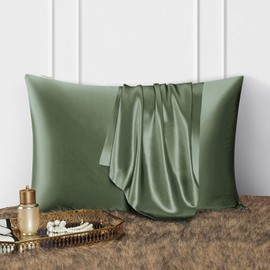 DISANGNI 100% Natural Mulberry Silk Pillow case for Hair and Skin with Hidden Zipper 22 Momme Both Sides Real Silk Pillow Case (1pc 50x75cm Green)
