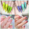 6 Uds 9d Cristal Holográfico Efecto Ojo De Gato Esmalte+imán