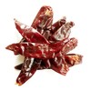 Mexican Guajillo Pods - 100g - Chilli Wizards