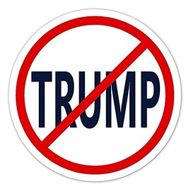 2 Pack - Anti-Trump No Trump Vinyl Bumper Sticker Decal