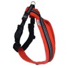 CosyDogs High Visibility Fleece Dog Harness in Red: Size 2