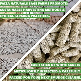 FAIZA NATURALS - Paquete de 6 varillas de salvia blanca para limpiar la energía negativa en casa, paquete de 6 unidades de limpieza orgánicas de salvia de California - Kit de manchas de incienso para limpiar la energía negativa en casa, 4 pulgadas a gran