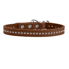 HUNTER Aalborg Style Dog Collar, Colour: Cognac, Greased Full Cowhide Leather, Robust, Comfortable, Stylish Studded Trim, Made in Germany, Size: 32