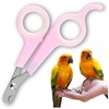 Leap Raupe Parakeet Literary Bird Pet Hamster Cat Small Animal
