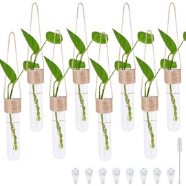 Miawtro 8 Stück Reagenzglas Vase-Wandvase, Reagenzgläser mit Hängender Schnur für Blumen Hyazinthenglas Hängevase Glaskugeln zum Aufhängen, Erhältlich als Fensterdeko Hängend Frühlingsdeko