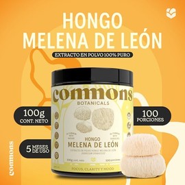 Commons - Hongo Melena de Leon - Extracto Puro en Polvo 100 gr - Más de 5 Meses de Suministro - Suplemento Natural - Hongos Adaptógenos - Cuerpo Frutí