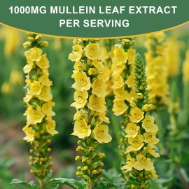 2*60ml Mullein Drops for Lungs, Detox and Cleanse Mullein Extract Supplement