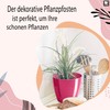 PECZEKO Flower Pot Shiny Plastic Planter Decorative Pot for Large