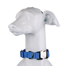 Blue-9 Secure Pro Dog Collar for Obedience, Training, and Identity, Durable and Adjustable Collar with Metal Buckle Dogs, Made in The USA, Sky Blue, Large