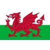 TENNER.LONDON SET OF 5 Welsh Flag Iron on Screen print