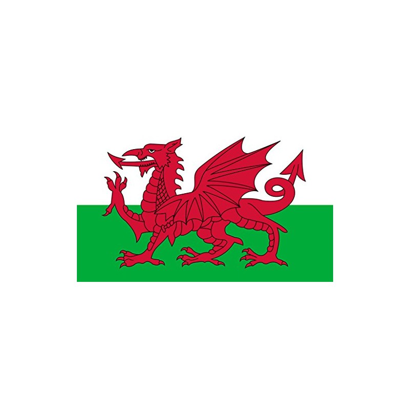 TENNER.LONDON SET OF 5 Welsh Flag Iron on Screen print
