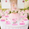 Ballerina Honeycomb Centerpieces Ballet Dancer Table Centerpieces Ballerina Birthday Party