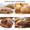 5 Pcs Bread Lame Multifunctional Sourdough Lame Scoring Tool Professional