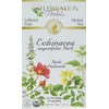 Celebration Herbals CELEBRATION HERBALS Echinacea ANG Herb Tea Organic 24