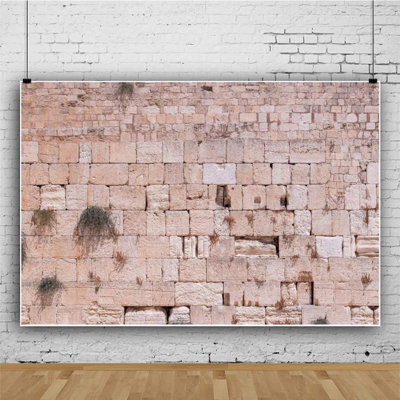 CSFOTO 15x10ft Western Wall Backdrop Ancient Jerusalem Photo Background Jerusalem