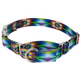Country Brook Petz - Tie Dye Flowers Reflective Martingale Dog Collar with Premium Buckle Collection with 5 Night Safe Designs (5/8 Inch, Small)