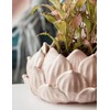 SEINHIJO Indoor Planter Ceramic Pot Flower Gifts Succulent Cacuts Decor