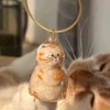 Anpyxun 6 Pcs Cat Hair Keychain Keepsake - Clear Acrylic