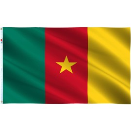 Large 5 x 3FT (150x90Cm) Cameroon National Flag Cameroonian Polyester Fabric Brass Eyelets for FIFA World Cup Football Rugby Sports Supporter