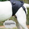 Dog Lift Harness for Dogs with Disabled Arthritis and Weak