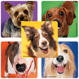 SmileMakers Dogs with Braces Dental Stickers - Prizes and Giveaways - 100 per Pack