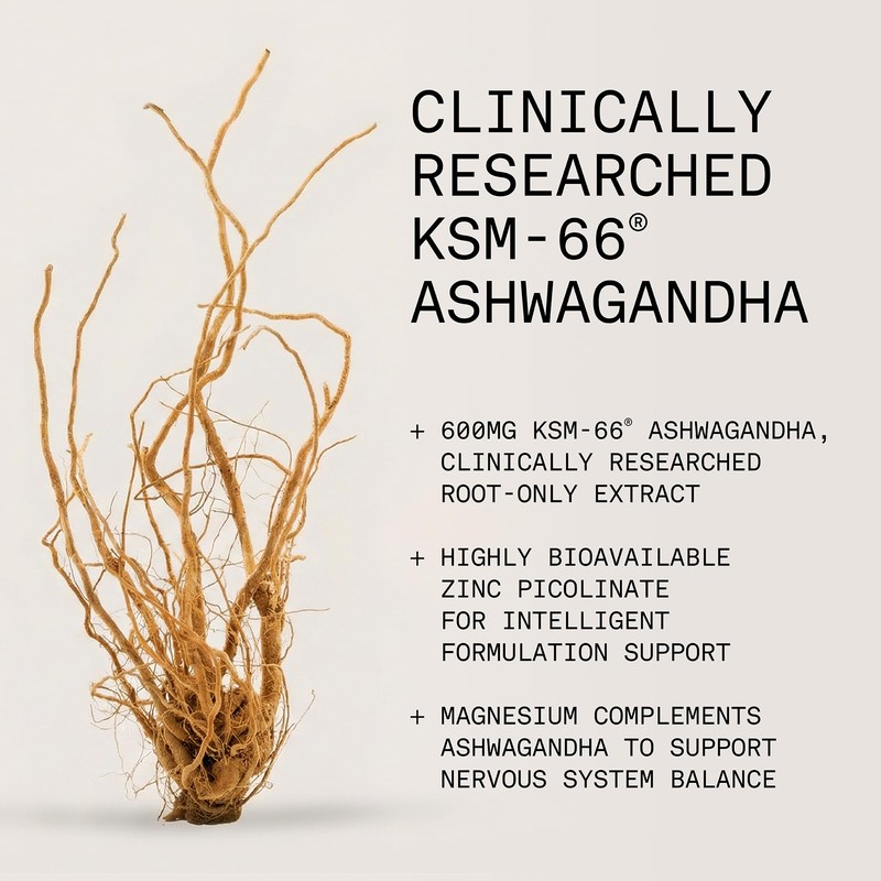 Zenutra Ashwagandha KSM-66® 600mg High Strength Root Extract | Stress,