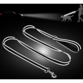 Taglory Dog Leads for Small Medium Dogs | Double Sided Reflective | Soft Neoprene Padded Handle | 2cm Wide by 180cm Long | Black