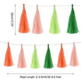 MECCANIXITY 20Pcs Dark Green, Glass Green, Bright Orange, Peach Pink Tassel Garland Banner with Rope Tissue Paper Tassels Party DIY Kits for Anniversary Wedding Birthday Party