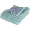 Prairie Dog DAIRY PRAIRIE Reversible Face Towel, Mint/Blue, Made in