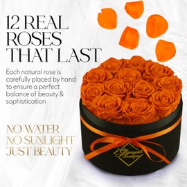 GLAMOUR BOUTIQUE Flowers Forever Gift Box 12 Real Preserved Roses in a Velvet Black Box, Birthday Rose Gift for Wife Mom and Her, Mothers Day, Anniversary, Graduation - Orange