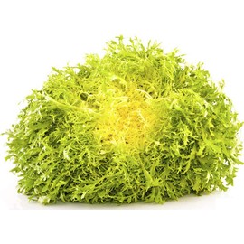 NIKA SEEDS - Vegetable Curly Endive Frisee Heirloom for Salads - 1000 Seeds