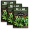 Common Purslane Seed for Planting - 3 Packets with Instructions