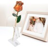 Golded Rose Flower 24K Bright Orange with Base Gift for