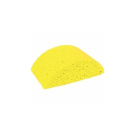 Masonry Sponge Turtleback