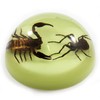REAL BUG SS112 4" Black Scorpion and Spider Dome Paperweight