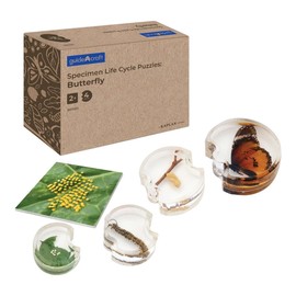 Kaplan Early Learning Specimen Life Cycle Puzzle - Butterfly