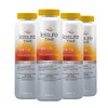 Leisure Time 22339-04BX Spa Up, 2-Pounds, 4-Pack