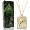 Urban Naturals Eucalyptus Sage Reed Diffuser Oil Gift Set –