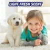 Resolve Urine Destroyer Pet Urine Stain and Odor Remover Spray,
