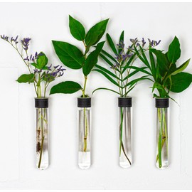 TWILG Magnetic Wall Hanging Plant Propagation Station - 4PC - Black Leather Wrapped Test Tube Vase Set, Modern Home and Office Decor, Hydroponic Plant Holder, Includes Wall Mount Magnets