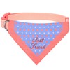 Blueberry Pet 9 Patterns Chic Stylish Triangle Cotton Blend Neckerchief