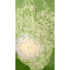 Catalpa, Southern Catalpa Tree Seeds, (For Raising Catalpa Worms) Catfish