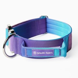Spark Paws - Collar táctico para perro, collar de alta calidad, diseño robusto y duradero para razas grandes y fuertes, pitbulls, boxers - retro de lo