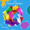 Kids B Crafty 250 Coloured Feathers, Feathers For Crafts, Craft