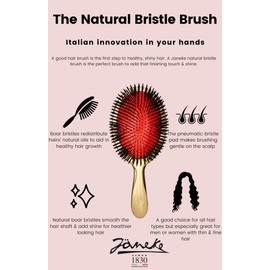 Janeke Porcupine Pure Boar Bristle Hairbrush SP22SF